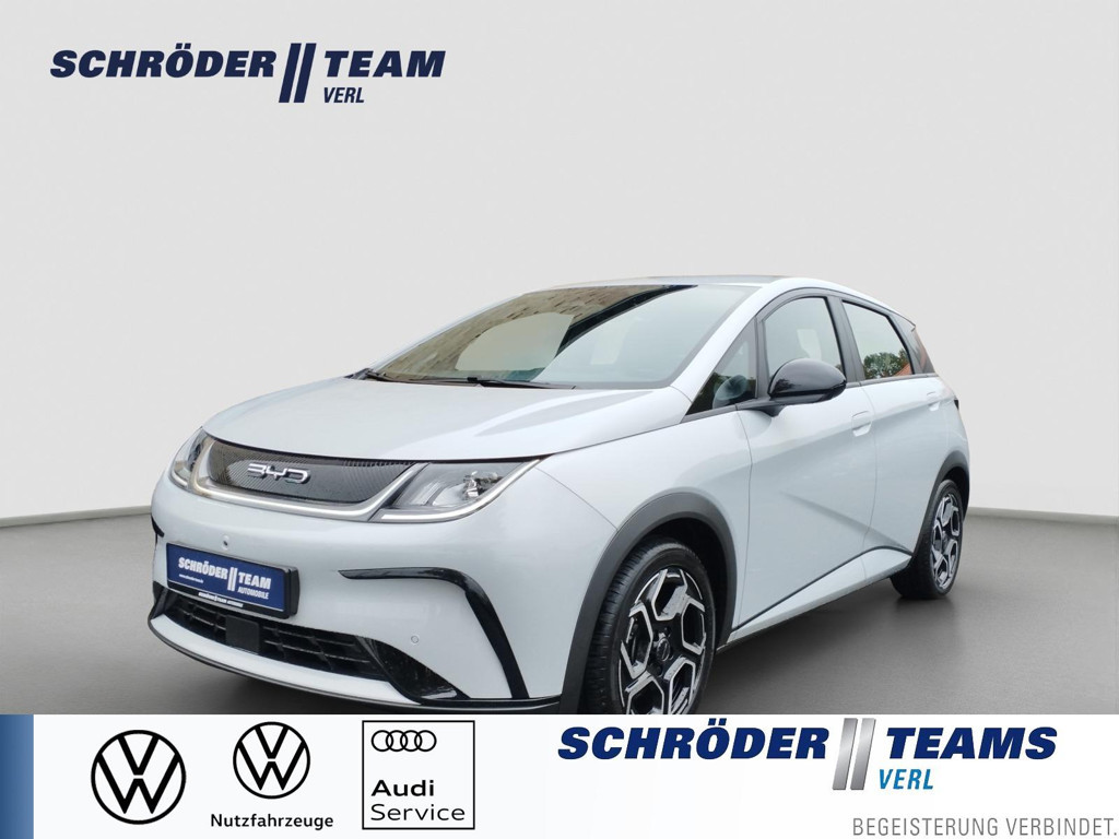 BYD Dolphin 2024 Elektrisch
