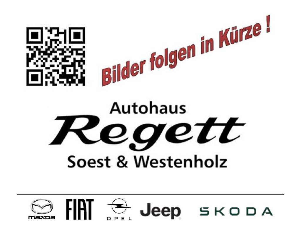 Fiat 500e 2021 Elektrisch