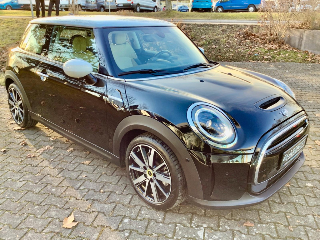 Mini Mini Electric