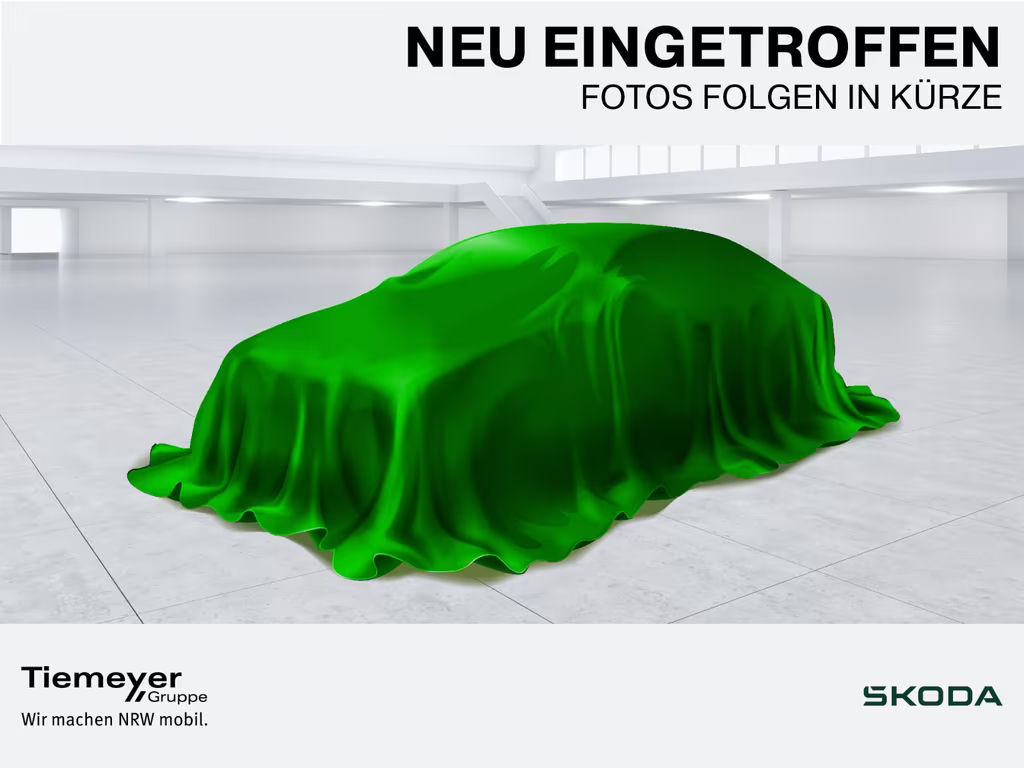 Skoda Karoq 2025 Diesel