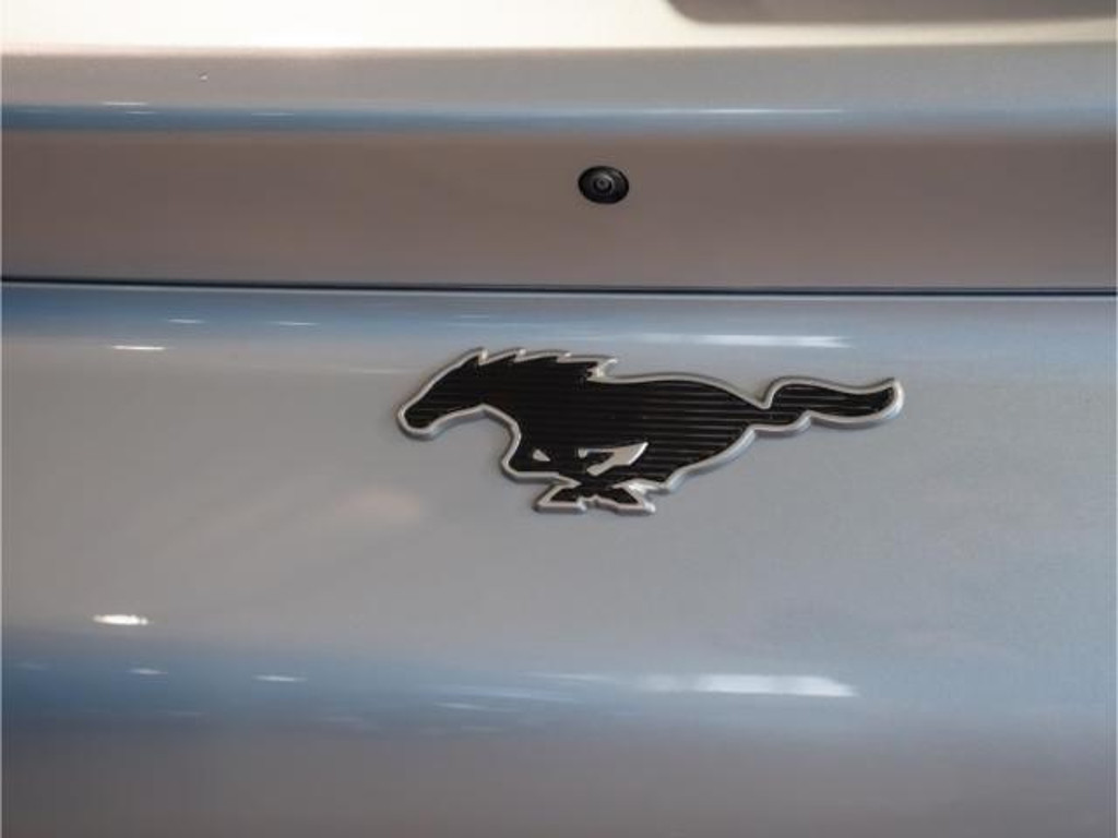 Ford Mustang Mach-E