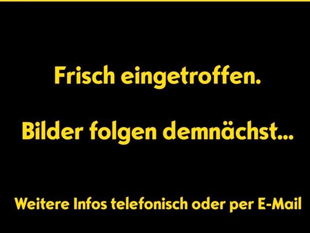 Opel Mokka 2024 Benzine