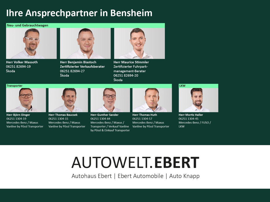 Skoda Enyaq 2024 Elektrisch