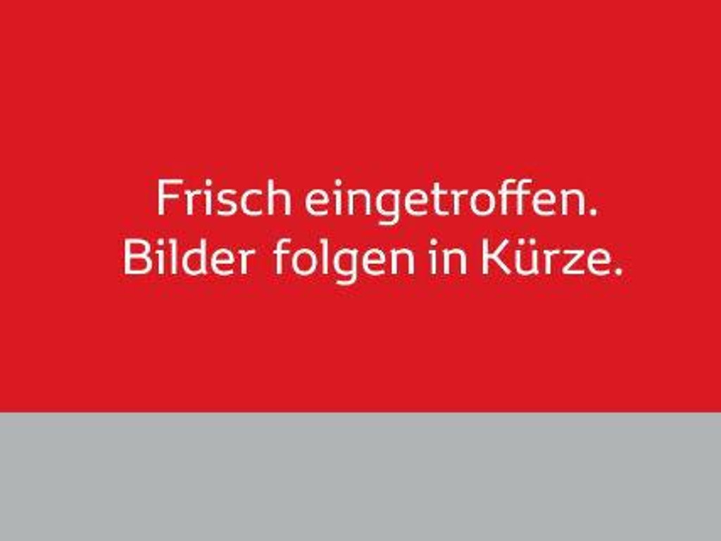 Toyota Yaris 2024 Benzine