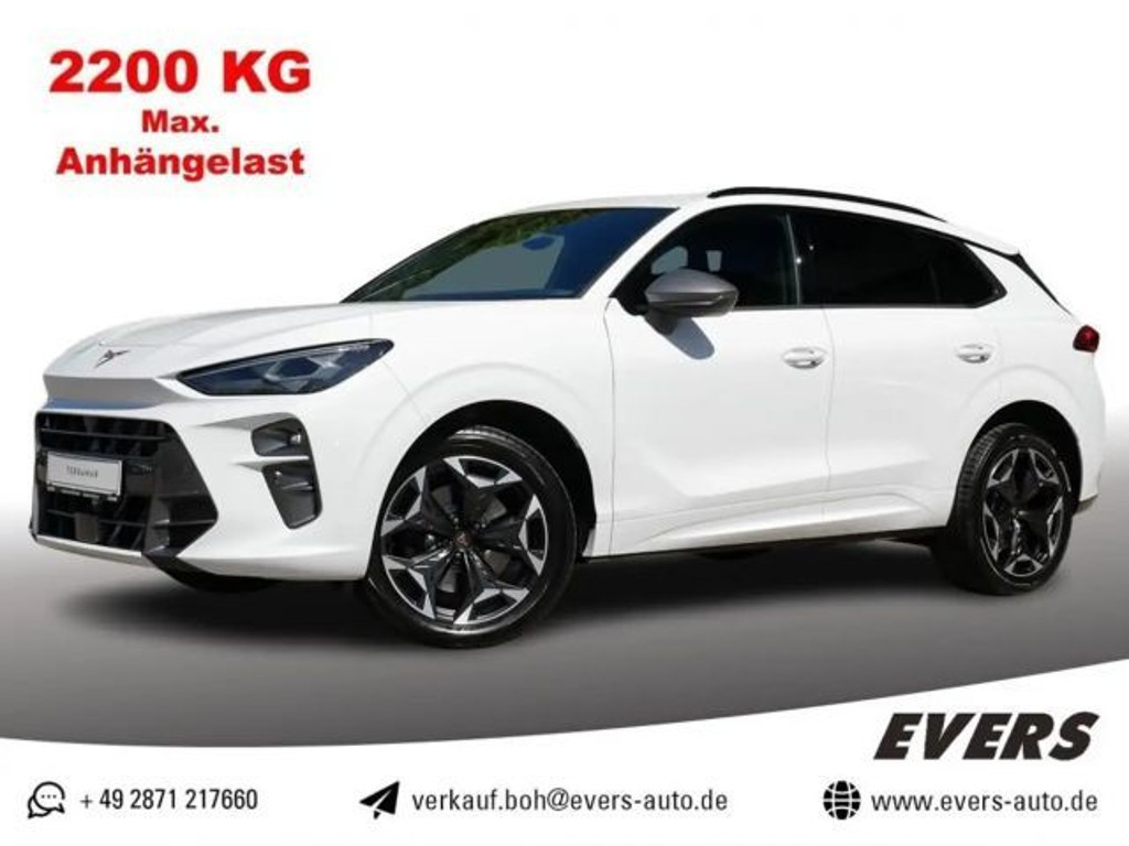 Cupra Terramar 2025 Benzine