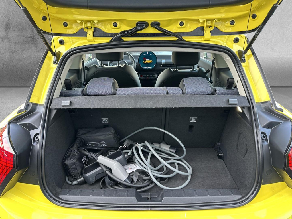 Mini Mini Electric