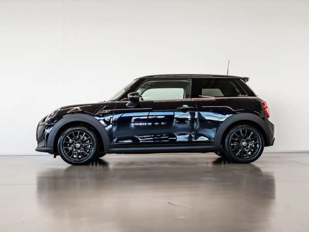 Mini Mini Electric