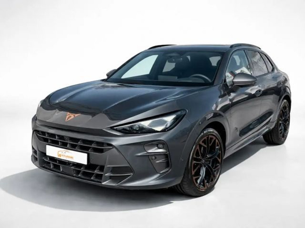 Cupra Terramar 2025 Benzine