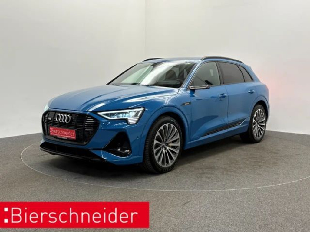 Audi e-tron 2021 Elektrisch