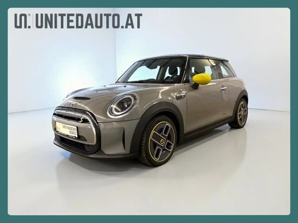 Mini Mini Electric