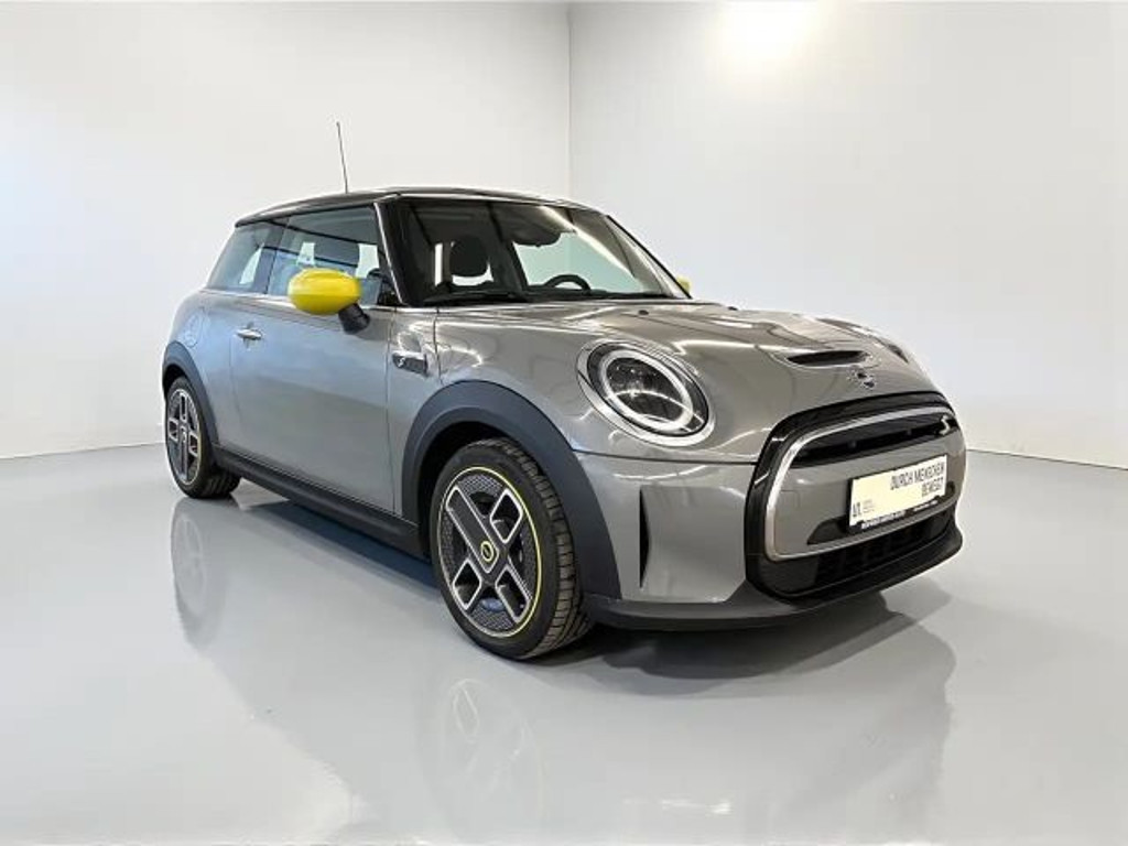 Mini Mini Electric