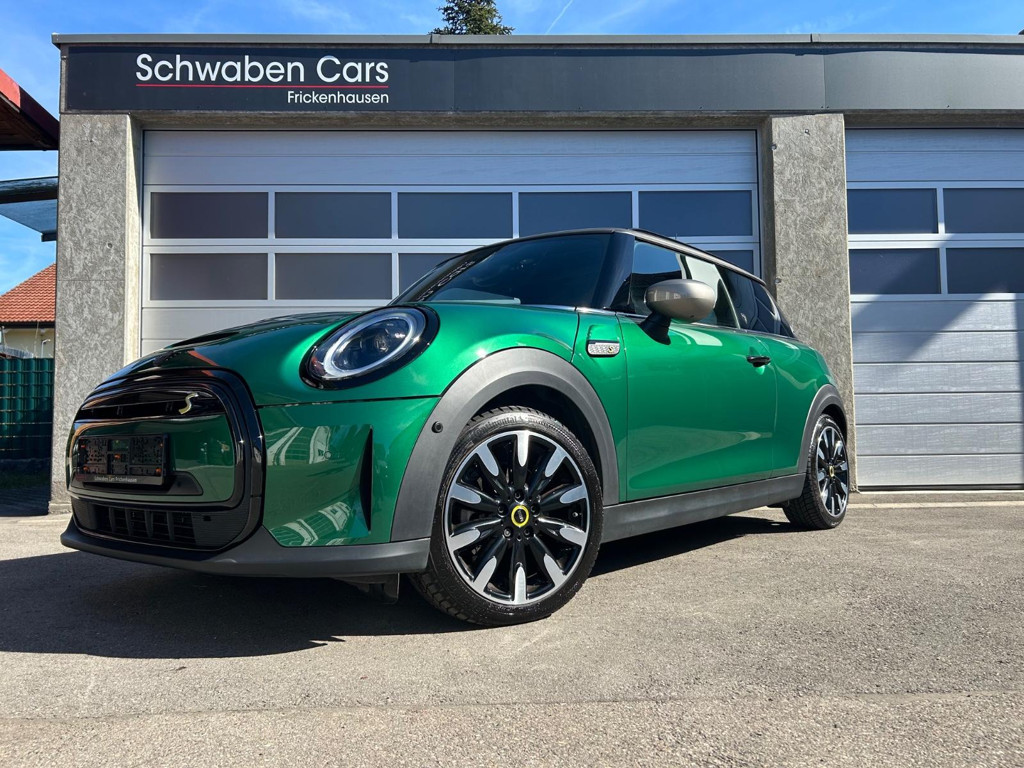 Mini Mini Electric