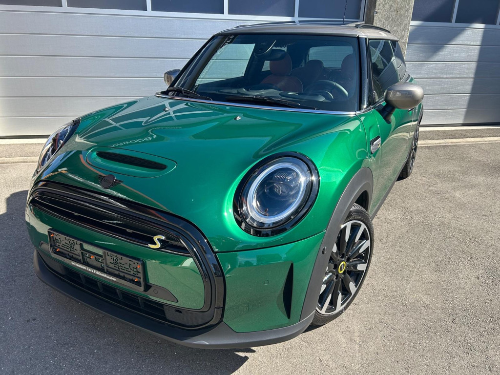 Mini Mini Electric