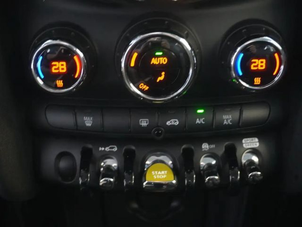 Mini Mini Electric