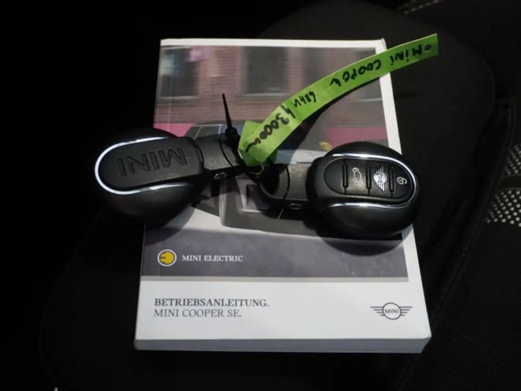 Mini Mini Electric