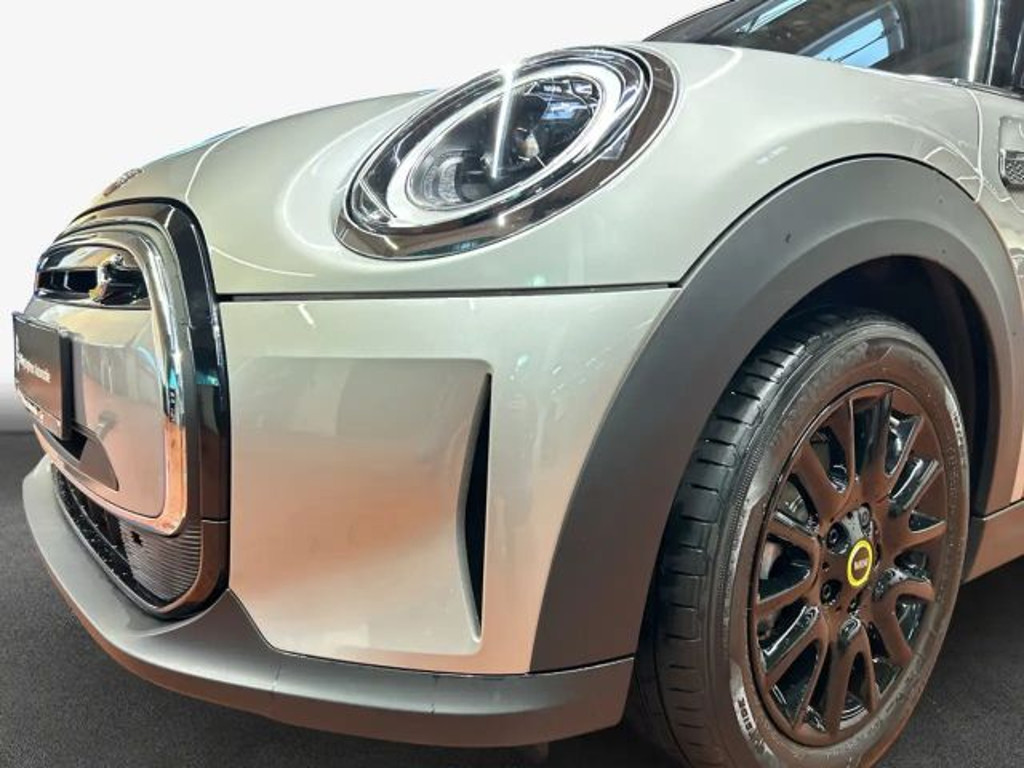 Mini Mini Electric