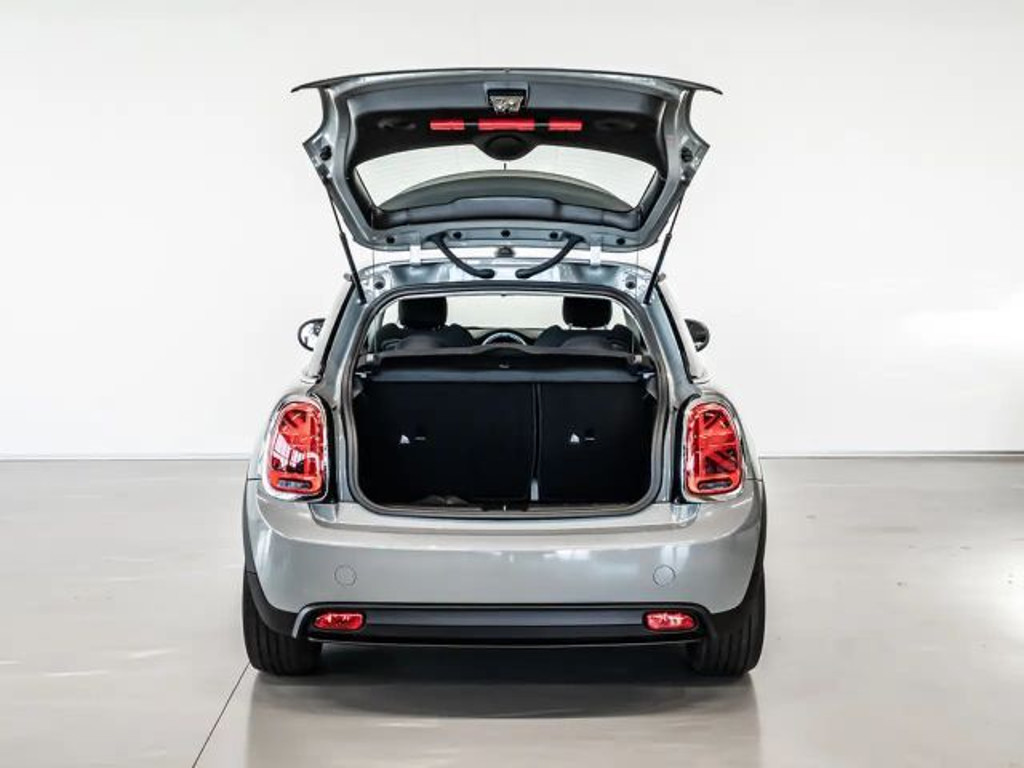Mini Mini Electric