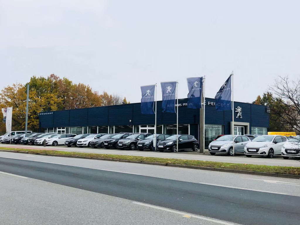 Peugeot 2008 2024 Benzine