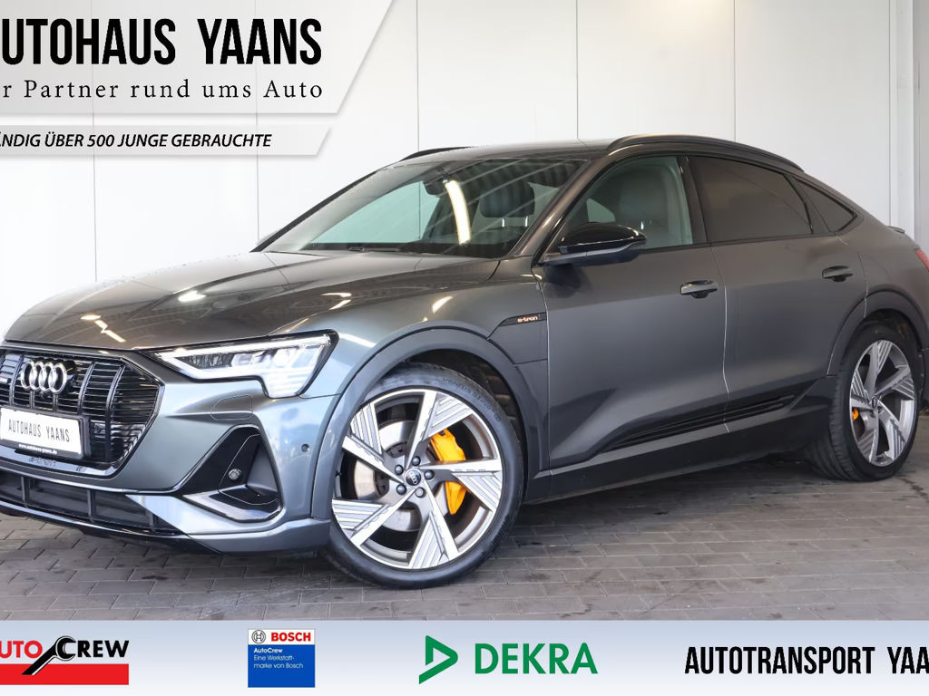 Audi e-tron 2021 Elektrisch