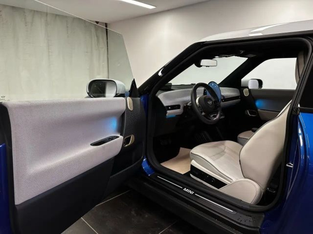 Mini Mini Electric