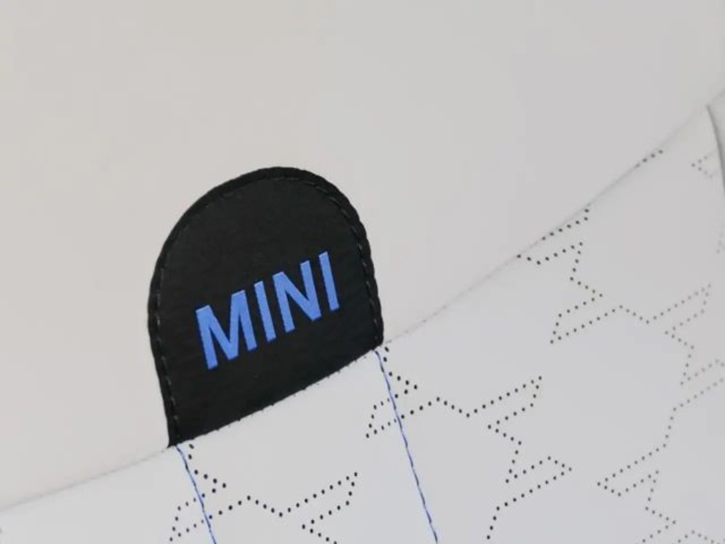 Mini Countryman E