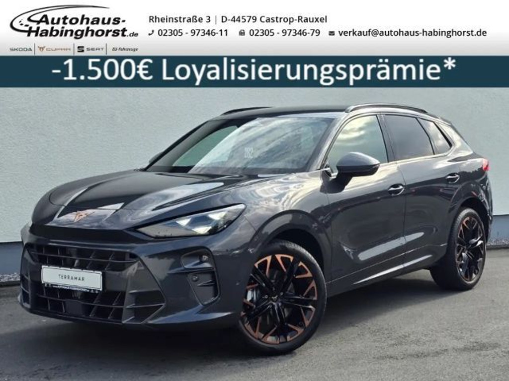 Cupra Terramar 2025 Benzine