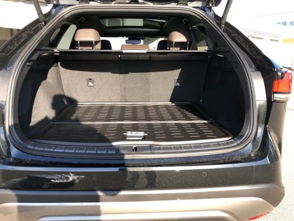 Lexus RX-Serie