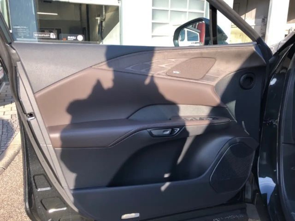 Lexus RX-Serie