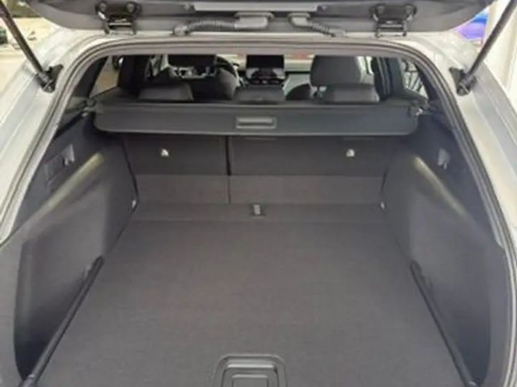 Suzuki Swace