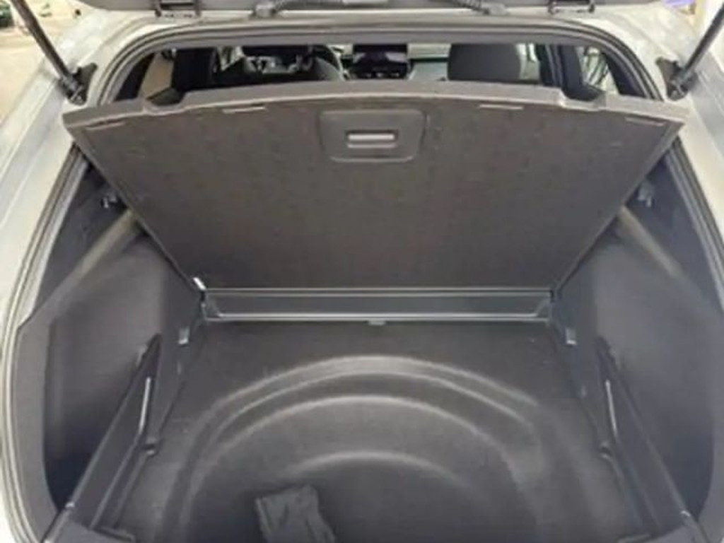 Suzuki Swace