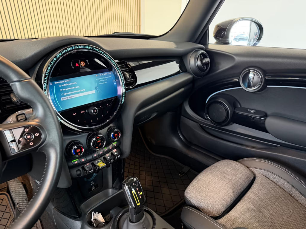 Mini Mini Electric