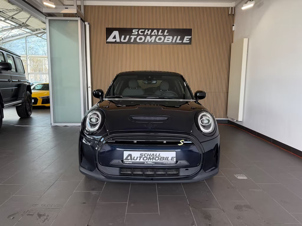 Mini Mini Electric