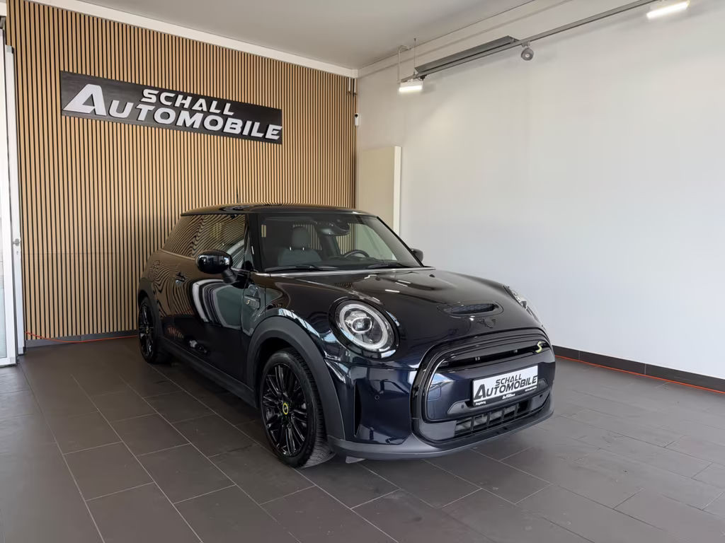 Mini Mini Electric