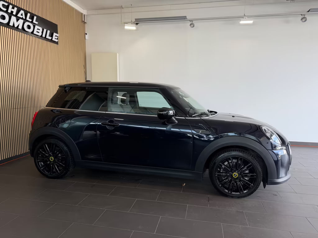 Mini Mini Electric