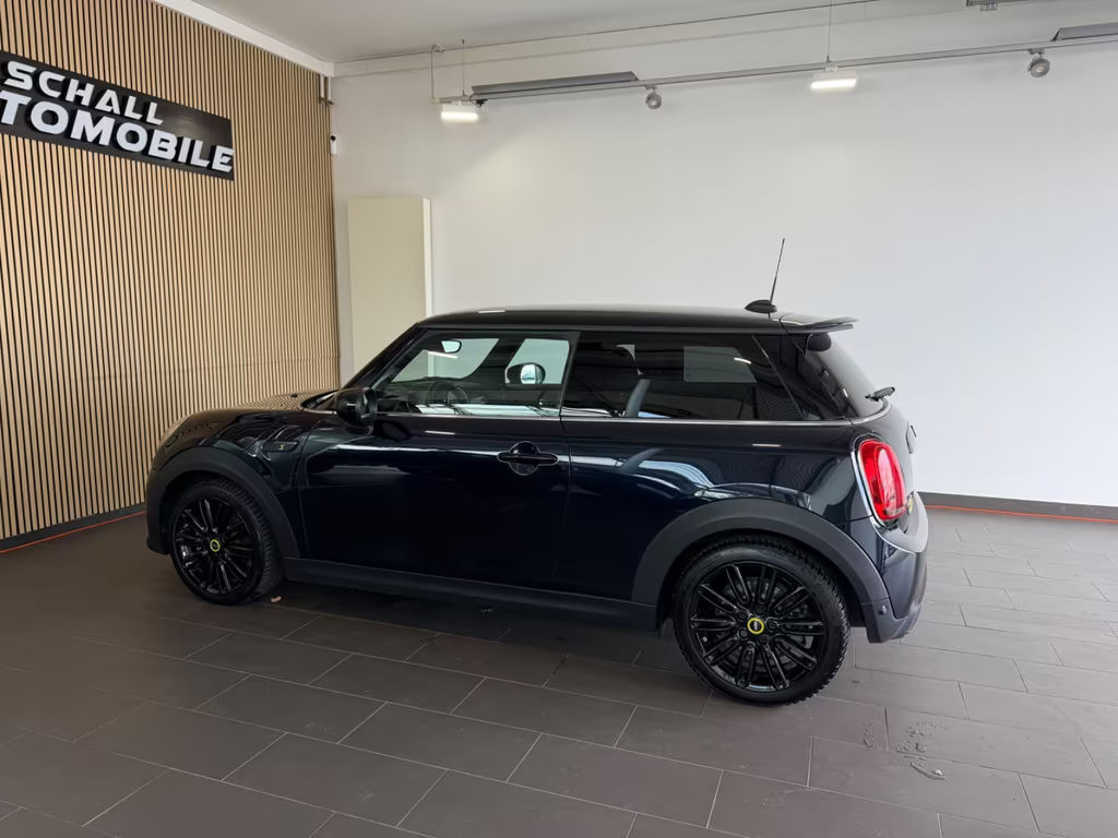 Mini Mini Electric