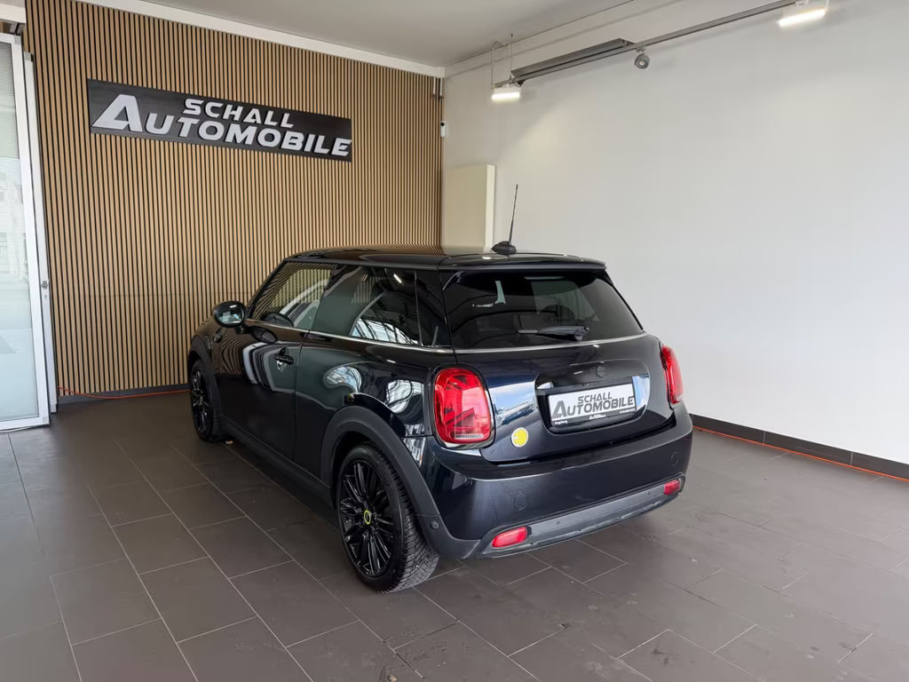 Mini Mini Electric