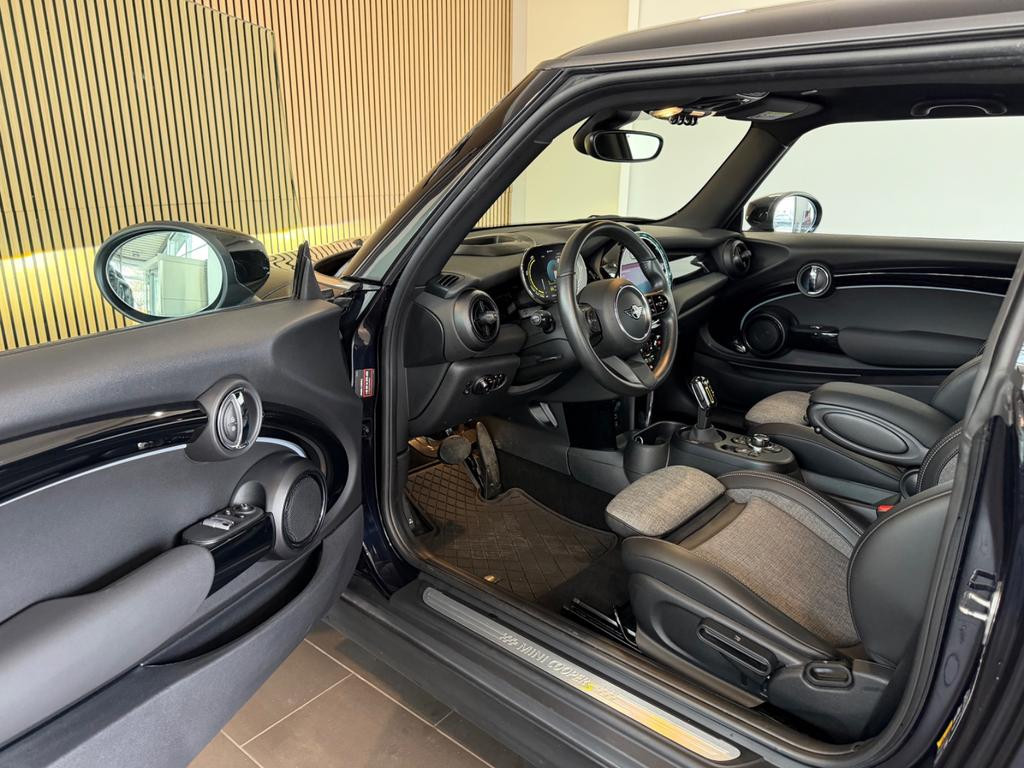 Mini Mini Electric