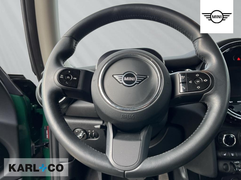 Mini Mini Electric