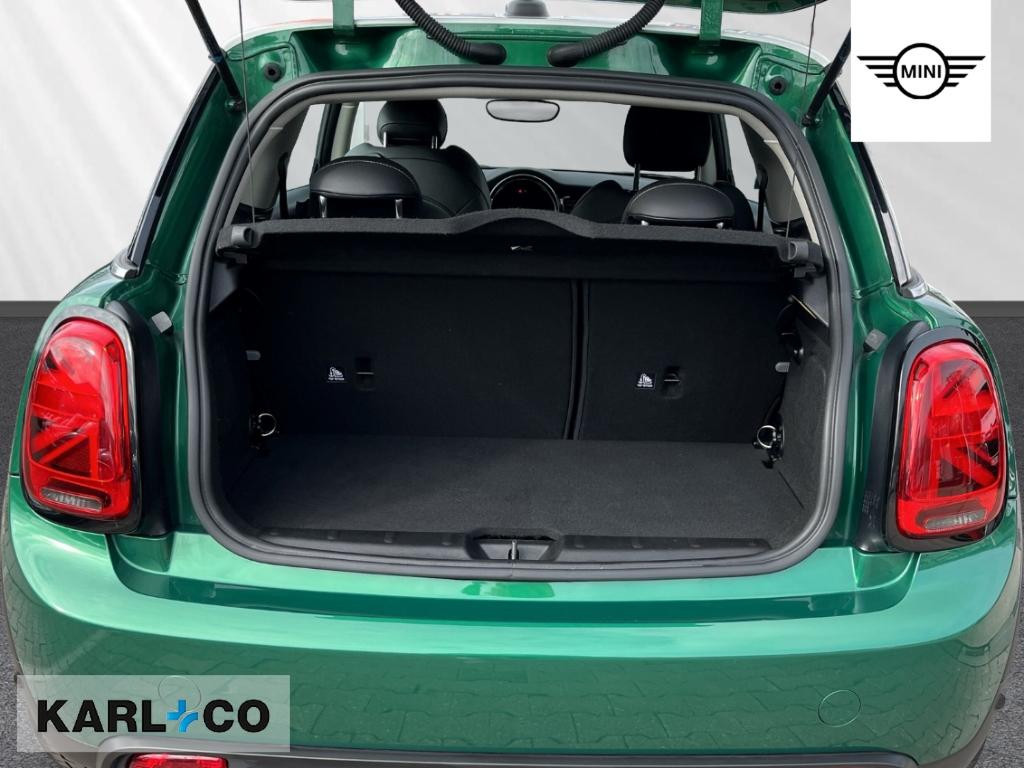 Mini Mini Electric