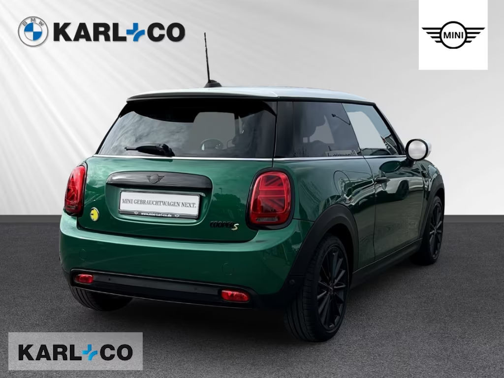 Mini Mini Electric