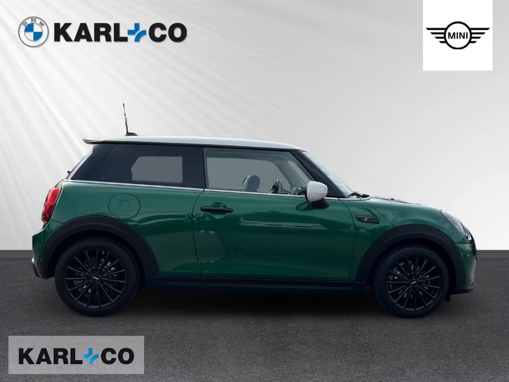 Mini Mini Electric