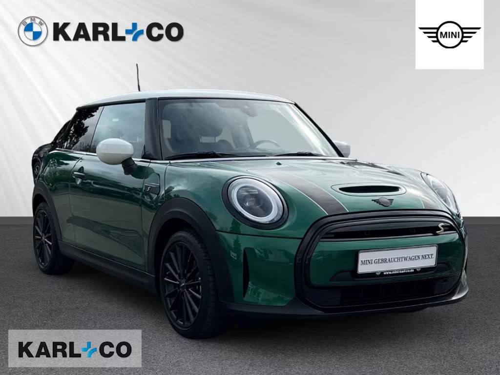 Mini Mini Electric