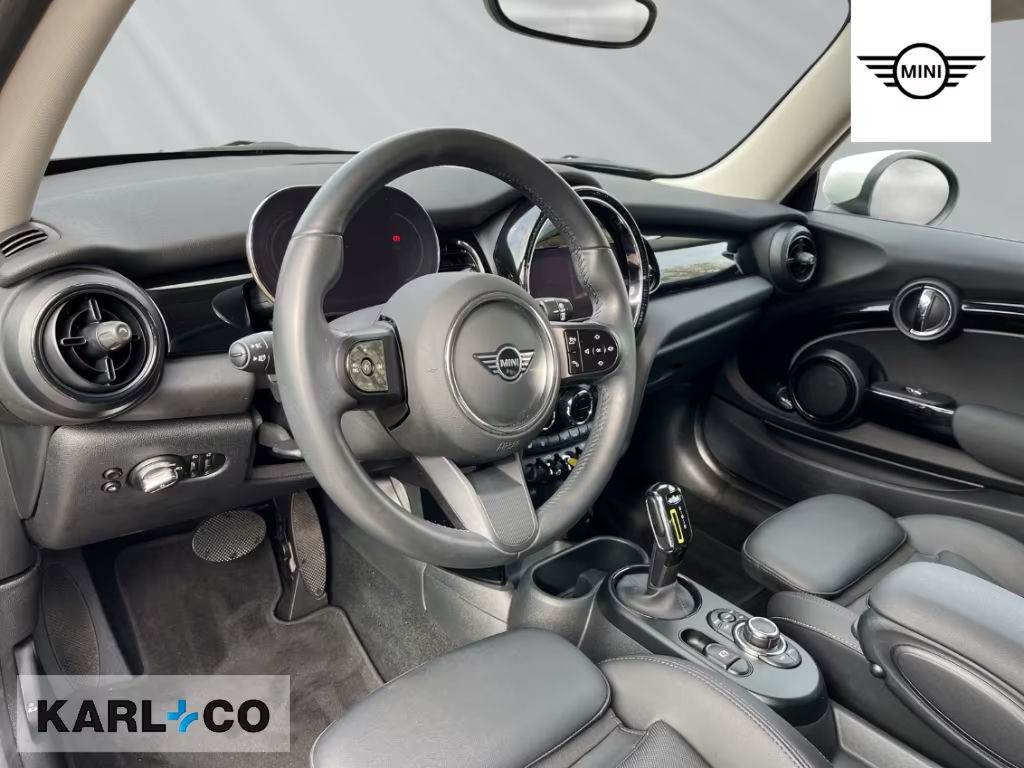 Mini Mini Electric