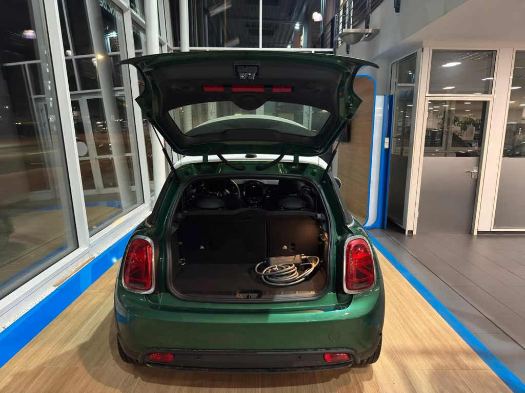 Mini Mini Electric