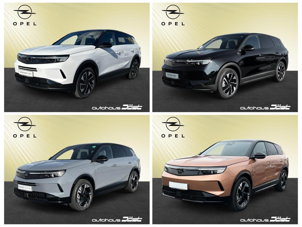Opel Grandland 2025 Elektrisch
