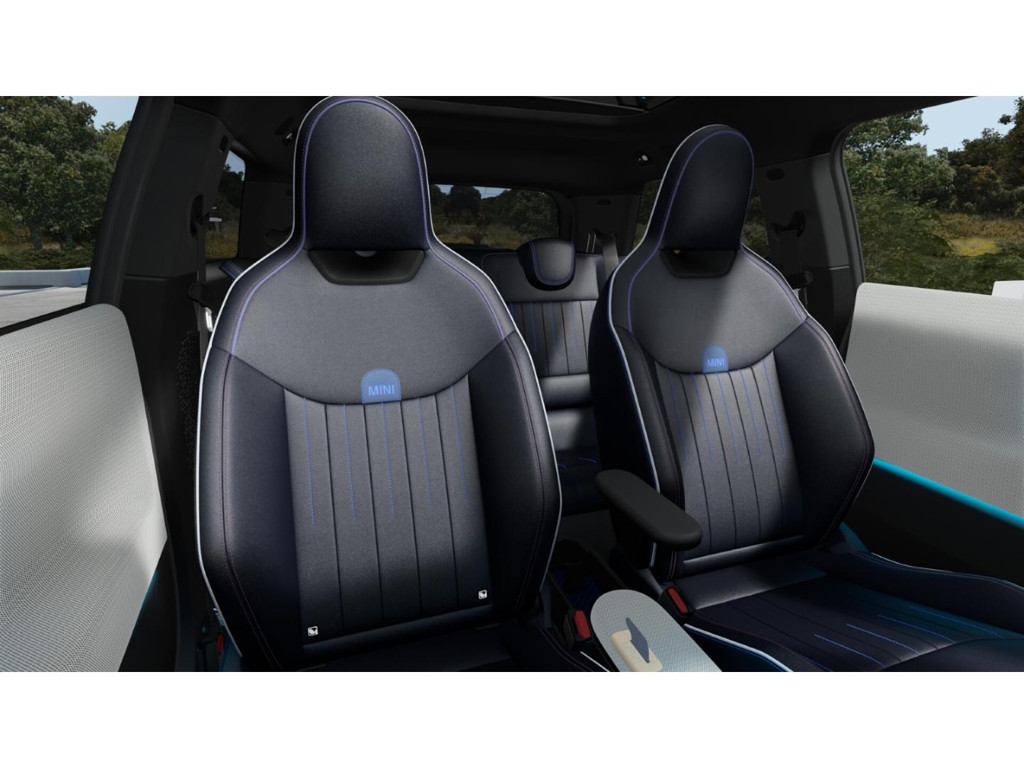Mini Mini Electric