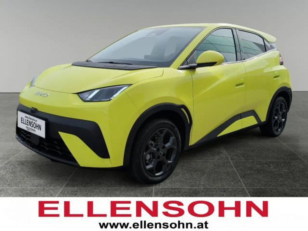 BYD Dolphin Surf 2026 Elektrisch