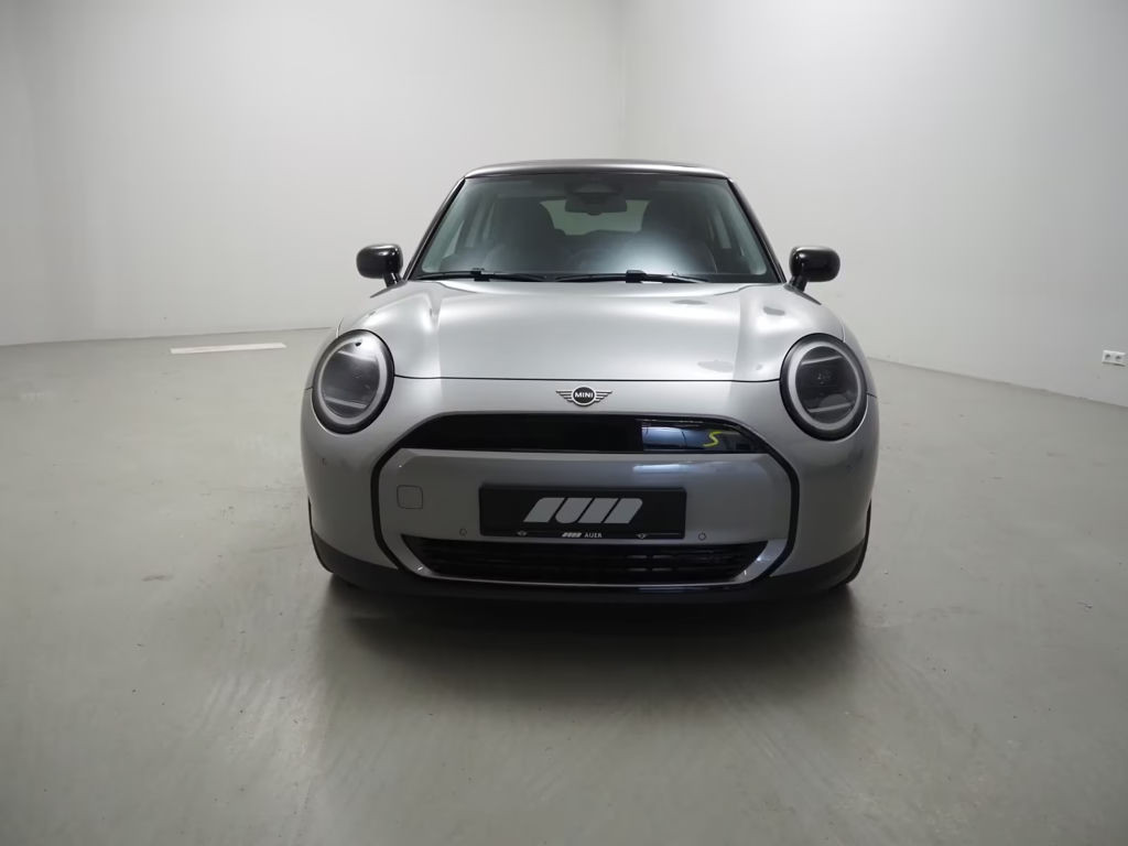 Mini Mini Electric