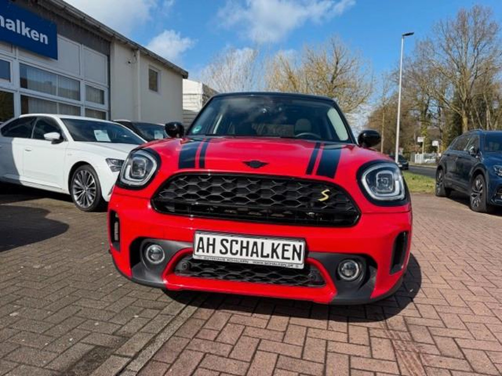 Mini Mini Electric