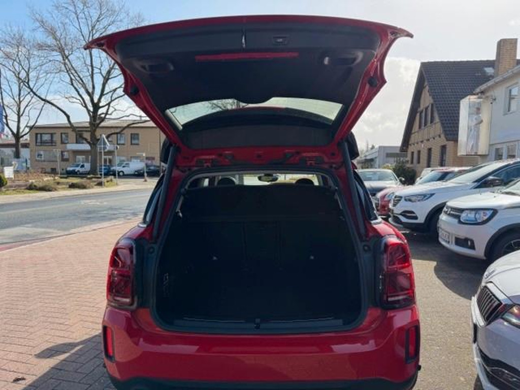 Mini Mini Electric